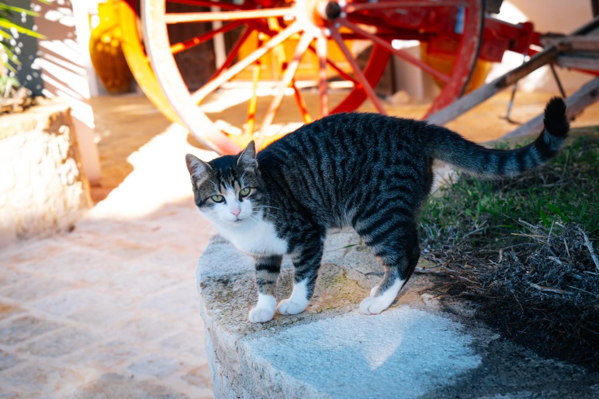 Masseria Pilano Crispiano 外观 照片